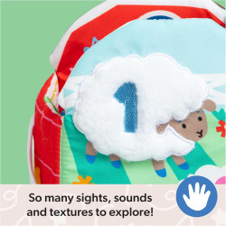 Ms. Rachel Official Sensory Learning Farm Foldable Soft Baby Book