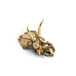 LEGO Jurassic World Dinosaur Fossils: Triceratops Skull 76969