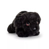 Keel 25cm Signature Cuddle Puppies  Plush Soft Toy- Cockapoo