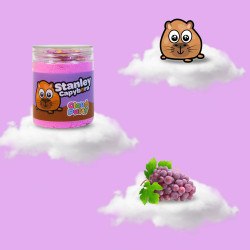 Slime Party Putty Pals Stanley Capybara Cloud Sensory Putty