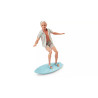Barbie The Movie Fashion Doll & Accessories Surfing Ken