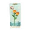 Florist Plant Series 9093-8 Rosa Chinensis Building Blocks
