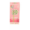 Florist Plant Series 9093-11 Cornus Alba Building Blocks