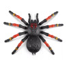Robo Alive Giant Tarantula Battery Powered Robotic Interactive Electronic Spider