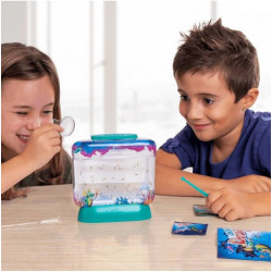 Grow your own Aqua Dragons