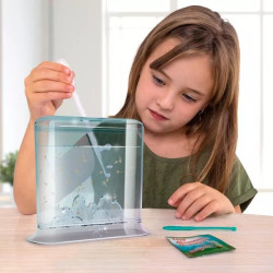 Aqua Dragons Grow Your Own Aqua Dragons Hatch 'n' Grow