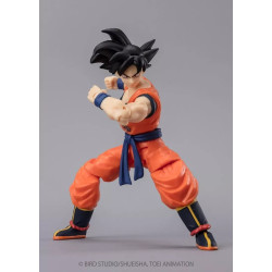 Dragon Ball Z Dragon Ball Evolve Son Goku