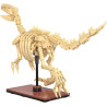 CaDA Velociraptor (256 pieces) - C59014W - Skeleton of a Velociraptor