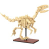 CaDA Velociraptor (256 pieces) - C59014W - Skeleton of a Velociraptor