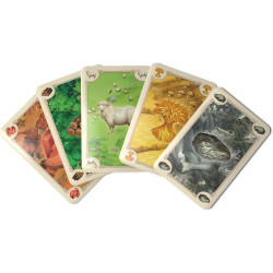 Catan Board Game