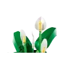 LEGO Botanicals Peace Lily 11504