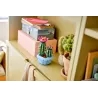 LEGO Botanicals Flowering Cactus Building Set 11509