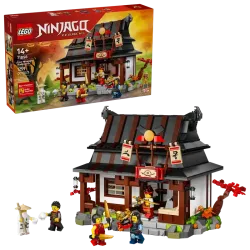 LEGO NINJAGO Four Weapons Blacksmith 15th Anniversary 71858