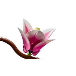 LEGO The Botanical Collection Magnolia Branches 11510