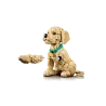 Lego Icons Golden Retriever Puppy 11384