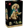 Lego Icons Golden Retriever Puppy 11384