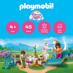 Playmobil Princess A Visit from Afar Playset 72054