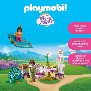 Playmobil Princess A Visit from Afar Playset 72054