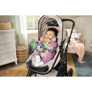 VTech Baby Take-Along Toucan Interactive Baby Toy