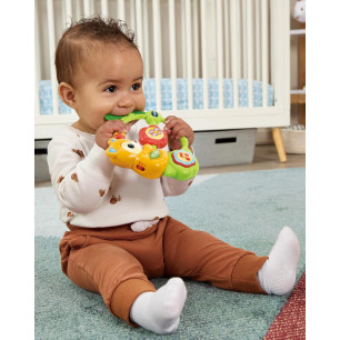 VTech Baby Shaking Sounds Bear Rattle Interactive Toy