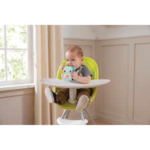 VTech Baby Rainbow Colours Axolotl Teether